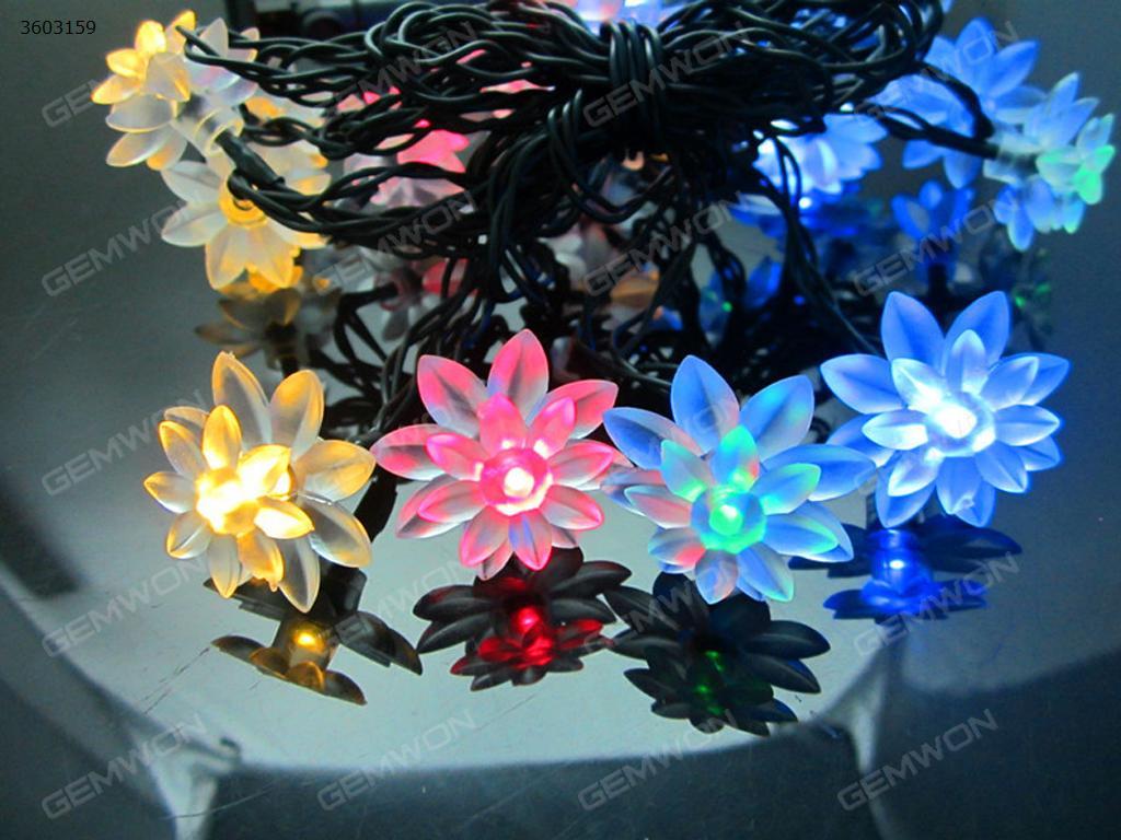 20 LED Lotus Double Light Garden Party Festival Illumination Gebutstag（Multicolour） Other N/A