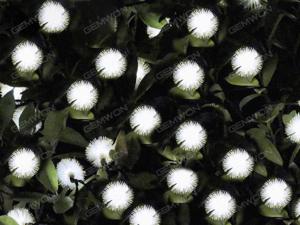 LED solar 50PCS chuzzle ball String Lights(WTL-MMQ)apply to Halloween, Christmas festivals，7 meters long，2V color temperature 6000K,be used indoors and outdoors, can be dimmed  Is White Light LED String Light WTL-MMQ