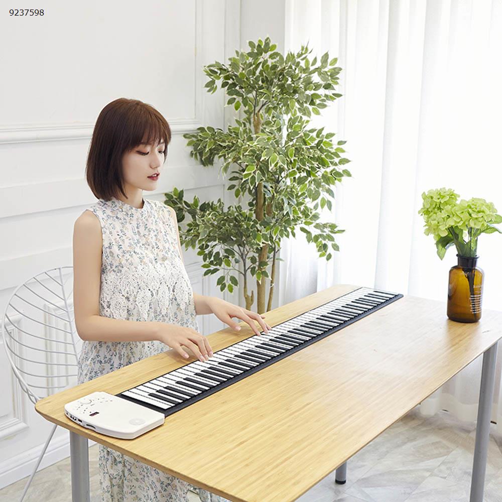 professional roll up usb piano rechargeable piano 61 keyboard   Musical Instruments  HUA028-S10-61