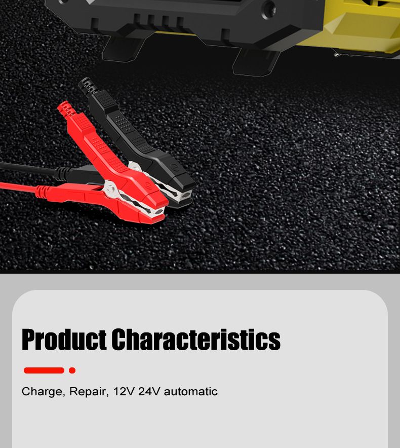 10A portable 12V 24V motorcycle battery charger, portable car battery charger  FPT-100