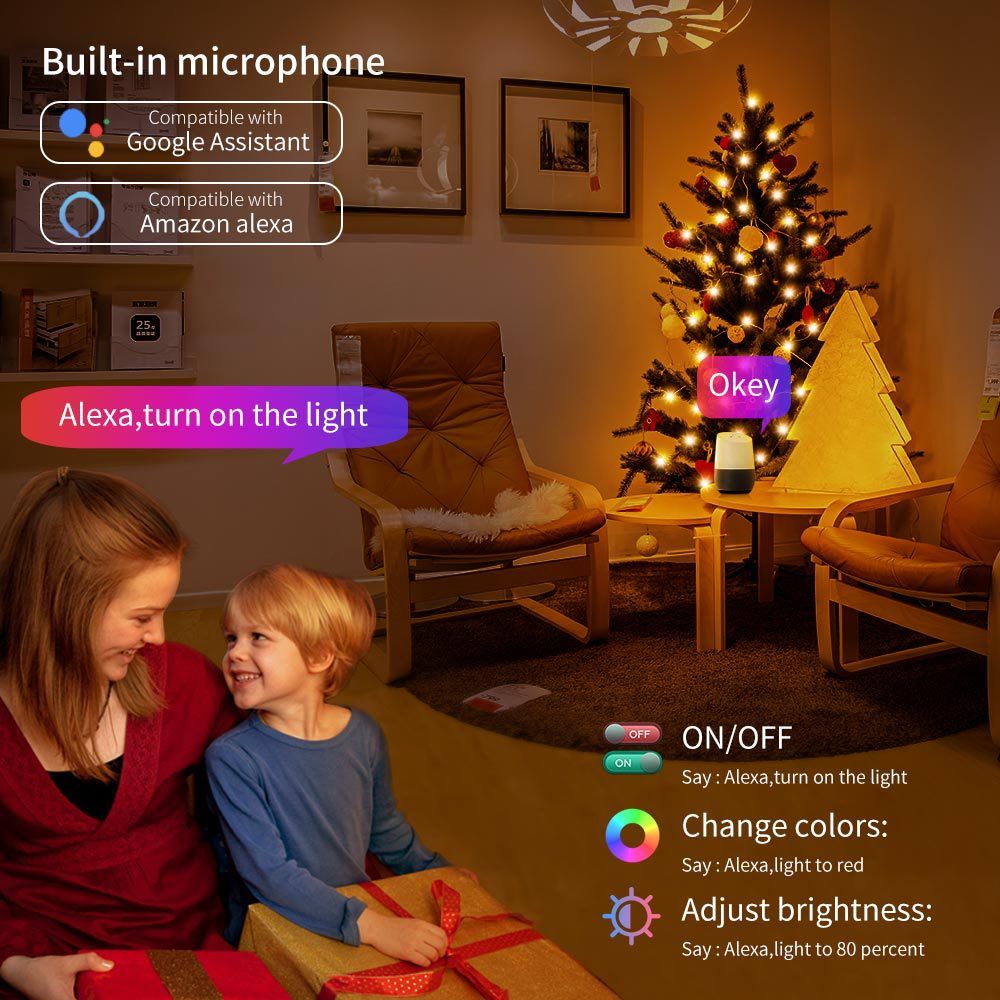 tuya smart rainbow lights Graffiti wifi smart light string Festive Christmas decoration copper wire 5V USB power 10 meters 100 lights bead string  RSH-WL038